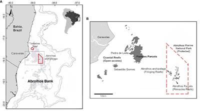 Habitat and Marine Reserve Status Drive Reef Fish Biomass and Functional Diversity in the Largest South Atlantic Coral Reef System (Abrolhos, Brazil)